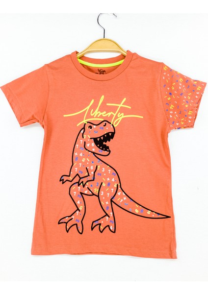 Erkek Çocuk T-Shirt