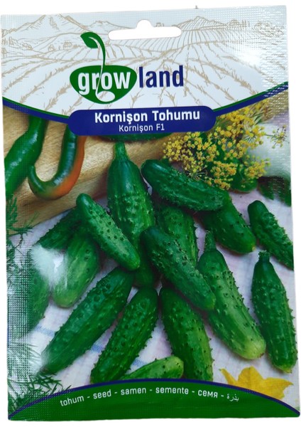 Grow Land Hibrit Kornişon Salatalık Tohumu