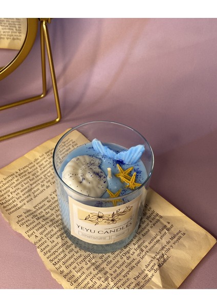 Sea Oyster Candle