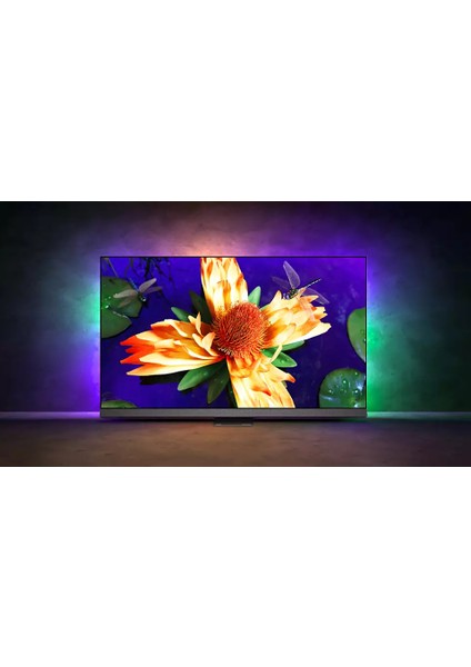 65OLED907 65" 165 Ekran Uydu Alıcılı 4K Ultra HD Smart LED TV