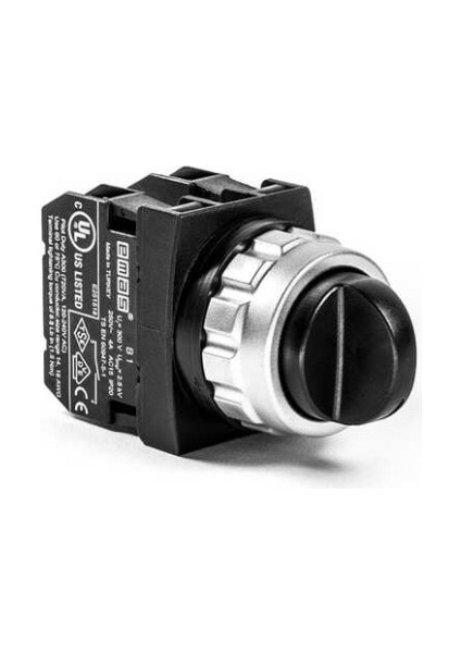 H101S30 H Serisi Plastik 2no (Iı-0-I) 60° Seçici Kalıcı 30 mm Buton