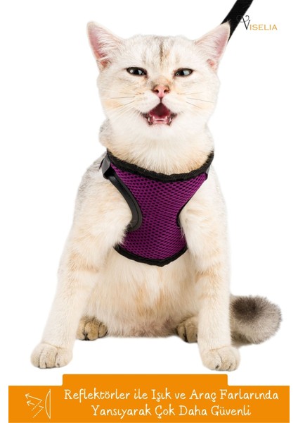 Kedi Tasması Göğüs Boyun Tasma Sevk Kayışlı Terletmeyen Nefes Alan Kumaş Reflektörlü fırsatları