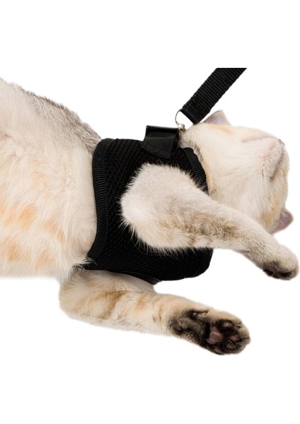 Siyah Kedi Tasması S Beden Sevk Kayışlı Terletmeyen Nefes Alan Reflektörlü Paris