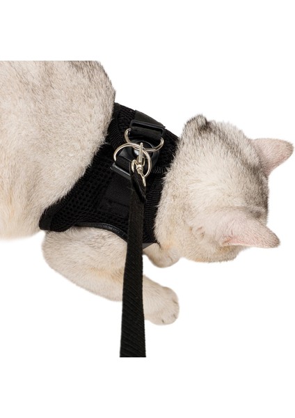 Siyah Kedi Tasması S Beden Sevk Kayışlı Terletmeyen Nefes Alan Reflektörlü Paris fiyatları