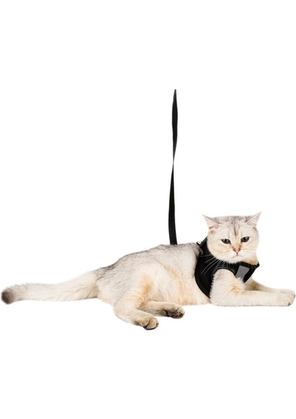 Siyah Kedi Tasması S Beden Sevk Kayışlı Terletmeyen Nefes Alan Reflektörlü Paris modelleri