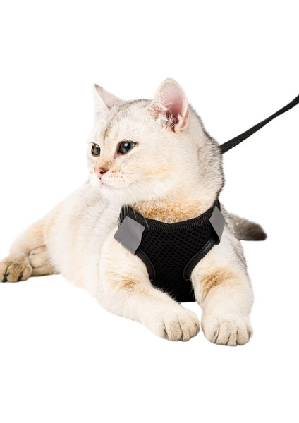 Siyah Kedi Tasması S Beden Sevk Kayışlı Terletmeyen Nefes Alan Reflektörlü Paris fırsatları