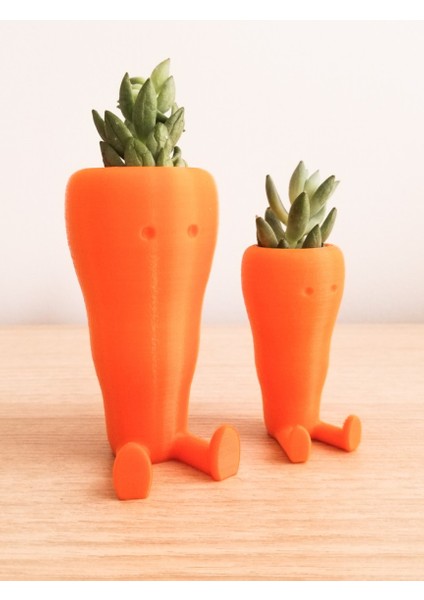 Sevimli Havuç Masaüstü Saksı (Çiçeksiz 2 Adet)