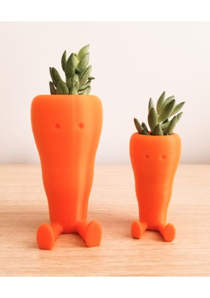 Sevimli Havuç Masaüstü Saksı (Çiçeksiz 2 Adet) fiyatları