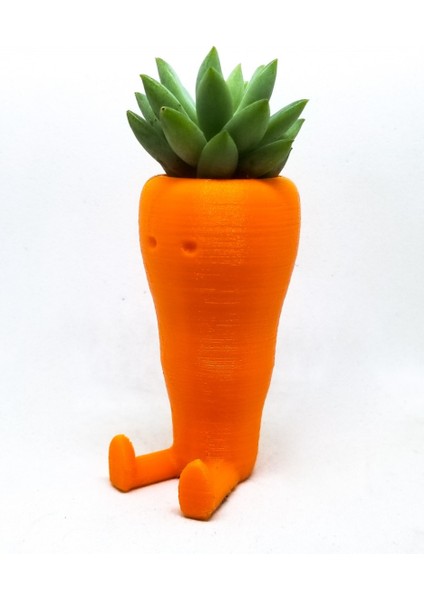 Sevimli Havuç Masaüstü Saksı (Çiçeksiz 2 Adet) modelleri