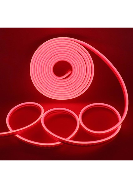 Neon 12V Hortum Şerit Led Işık