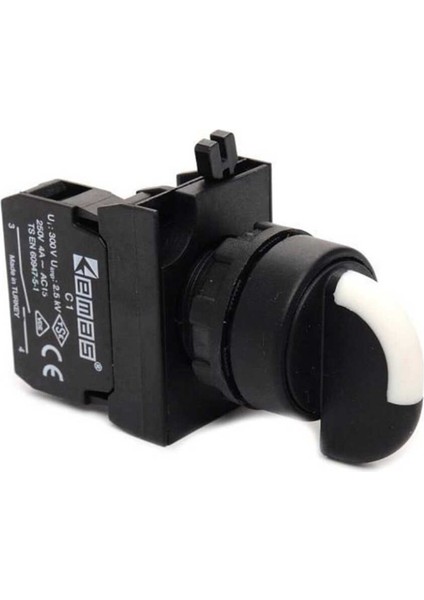 CP101S32 Cp Serisi Plastik 2no (Iı-0-I) 60° Seçici Çift Dönüşlü 22 mm Buton