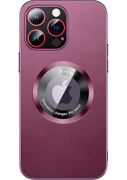 iPhone 14 Pro Max Telefon Kılıfı (Yurt Dışından)