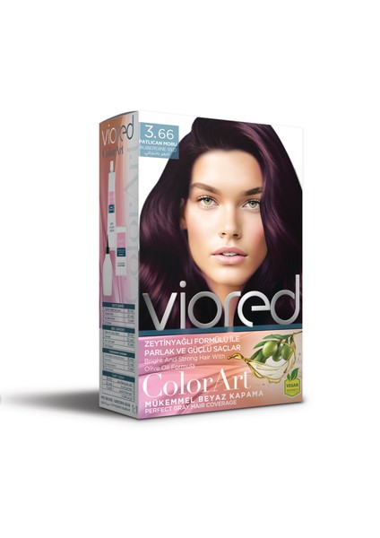 Viored Color Art 3.66 Patlıcan Moru Saç Boyası