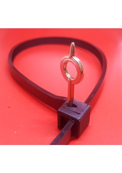 Anahtarlı Plastik Kelepçe 9-500 50 Adet