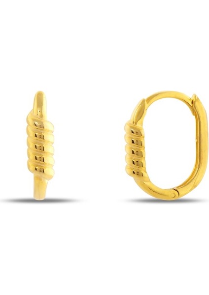 Tırtıklı Oval Biçimli Küpe Kadın Gümüş Küpe fiyatları