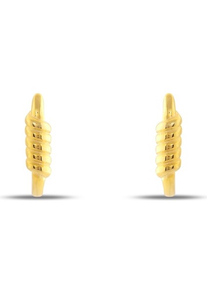 Tırtıklı Oval Biçimli Küpe Kadın Gümüş Küpe fırsatları