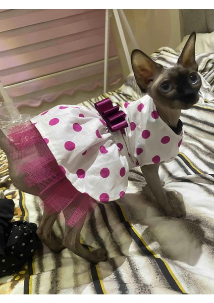 Fuşya Fiyonklu Puantiyeli Kedi Köpek Kıyafeti Elbisesi