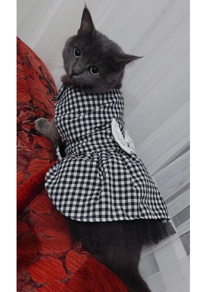 Beyaz Siyah Kareli Dişi Kedi Köpek Kıyafeti Elbisesi fırsatları