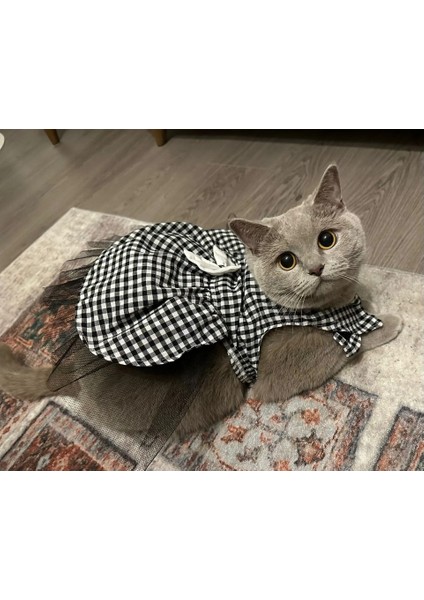 Beyaz Siyah Kareli Dişi Kedi Köpek Kıyafeti Elbisesi indirimleri