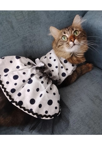 Siyah Puantiyeli Beyaz Dişi Kedi Köpek Kıyafeti Elbisesi indirimleri