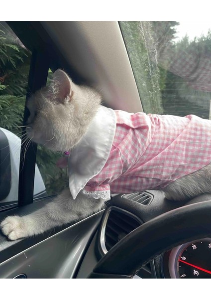 Kurdeleli Pembe Dişi Gömlek Kedi Köpek Kıyafeti Elbisesi