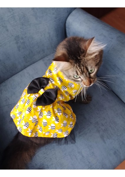 Arı Desenli Sarı Kedi Köpek Kıyafeti Elbisesi