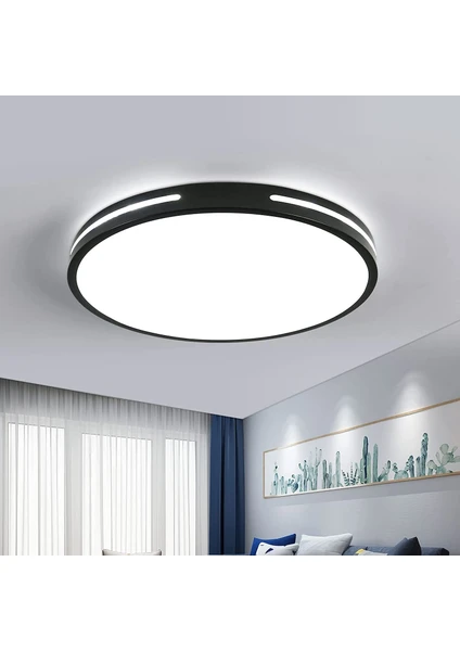 LED Tavan Lambası, Modern Tekli Yuvarlak Tavan Lambası, Çap 30 Cm, 6500 K (Yurt Dışından)