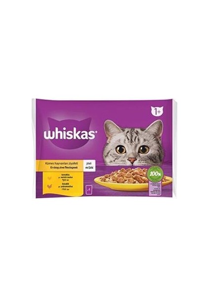 Kümes Hayvanları Ziyafeti Tavuklu ve Hindili Kedi Yaş Mama 340 gr (4 x 85 Gr)