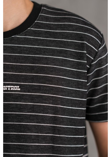 Reguler Fit Bisiklet Yaka Likralı Çizgili Erkek Yazlık T-Shirt indirimleri