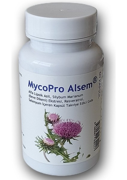 Mycopro Alsem 60 Kapsül