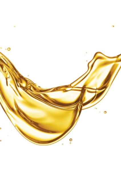 Üzüm Çekirdeği Saç Bakım Yağı 100 ml