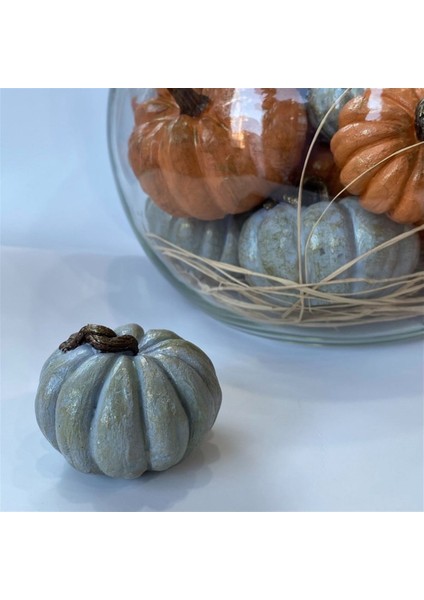 Balkabağı Ikili Set Gri modelleri