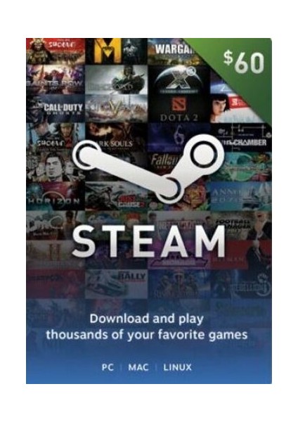 Steam Gift Card 60 Usd