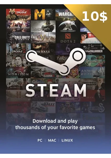 Steam Gift Card 10 USD