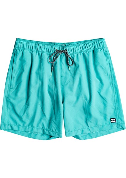 All Day Lb Erkek Deniz Şortu EBYJV00104