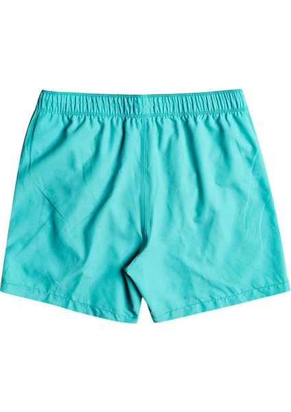 All Day Lb Erkek Deniz Şortu EBYJV00104 fiyatları