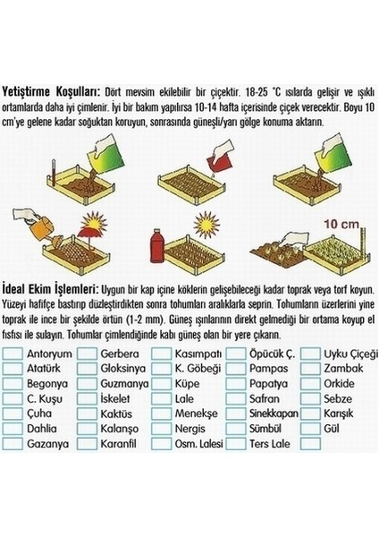 10 Adet 10 Farklı Renk Sümbül Çiçeği Tohumu + 10 Adet K.renk Gül Çiçek Tohumu