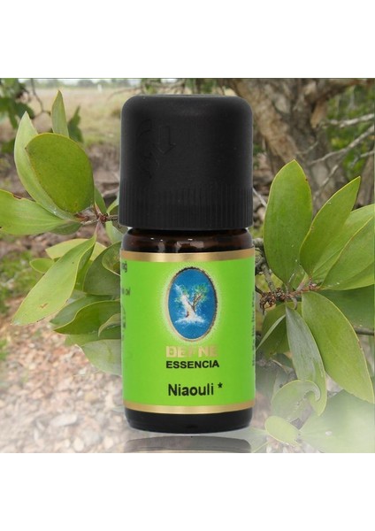 Organik Niaouli Yağı 5 ml . Aromaterapi Uçucu Yağ Cilt ve Bakım Yağı