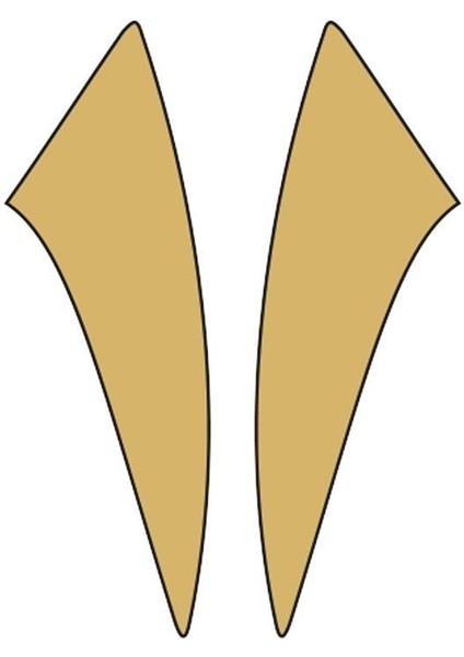 Cg Gold Çamurluk Yan Sticker