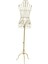 Seamstress Mağazası Için Metal Kadın Manken Modeli Destek Gövdesi Gövdesi Aureate (Yurt Dışından) 1