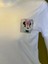 Pamuk Basik Bisiklet Yaka Örme Mickey Mause Minny Mause T-Shirt 3