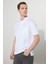 Comfort Fit Rahat Kesim Pamuk Polo Yaka Tişört 3