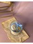 Sea Oyster Candle 4