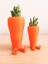 Sevimli Havuç Masaüstü Saksı (Çiçeksiz 2 Adet) 1