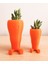 Sevimli Havuç Masaüstü Saksı (Çiçeksiz 2 Adet) 2