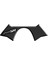 Cf Moto 250 Sr 2020 - 2023 Mesnet Pad 004 1