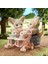 Sylvanian Families Çöl Tilkisi Ailesi 5696 3