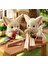 Sylvanian Families Çöl Tilkisi Ailesi 5696 4