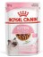 Kitten Pouch 85 gr 1