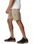 AM5763 Silver Ridge Utility Cargo Short Erkek Şort 2